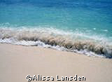 Seven Mile Beach/ Grand Cayman by Alissa Lansden 